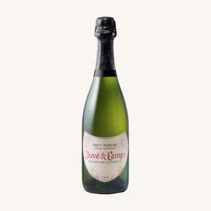 Juvé & Camps Reserva de la Familia Brut Nature sparkling wine, D.O. Cava, bottle
